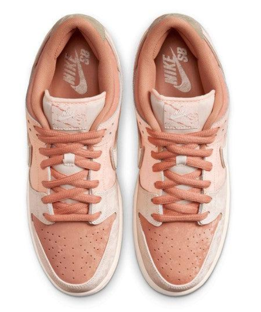Nike SB Dunk Low Pro Trocadero Premium Skate Shoes