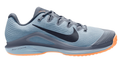 Nike Vapor 12 Men's Clay Court Tennis Shoes Ashen Slate Blue HQ6026-400