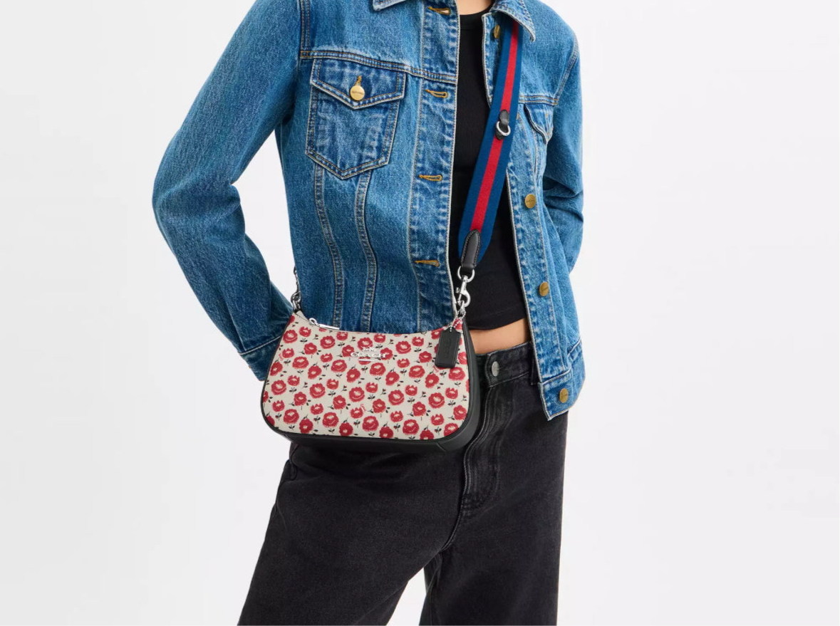 NWT Coach Teri Shoulder Bag With Floral Print In Silver/Chalk/Black Multi