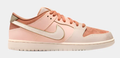 Nike SB Dunk Low Pro Trocadero Premium Skate Shoes